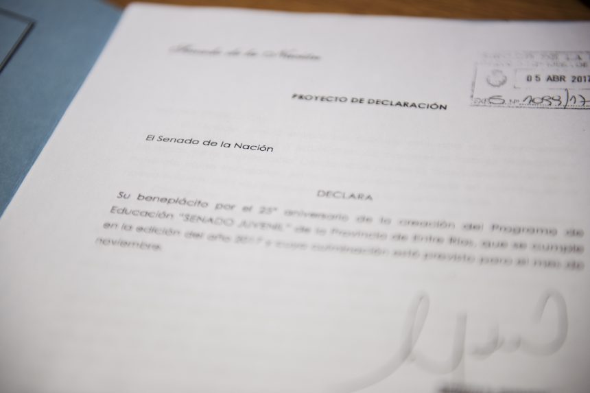 El Senado de la Nación reconoció los 25 años del Senado Juvenil