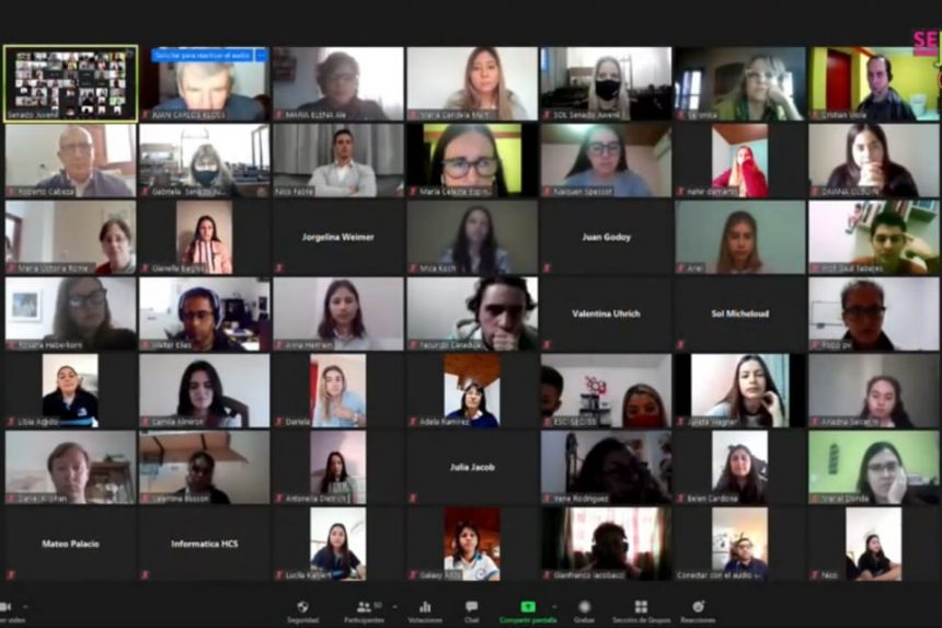 Alumnos del Departamento Paraná presentaron sus proyectos en el Senado Juvenil