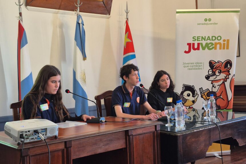 El Senado Juvenil avanza con las instancias departamentales
